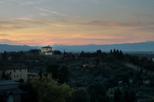 A distant horizon fading behind an unyielding line of cypresses.